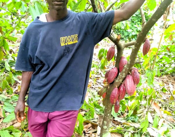 WhatsApp Image 2025-09-08 at 17.37.37 (1)