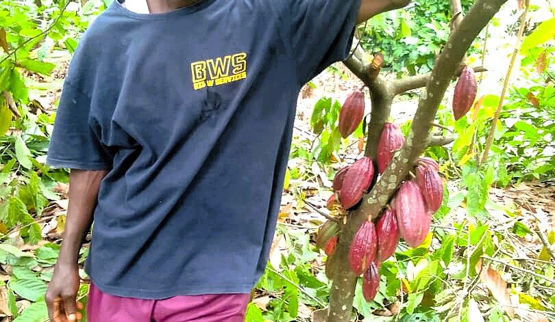 WhatsApp Image 2025-09-08 at 17.37.37 (1)