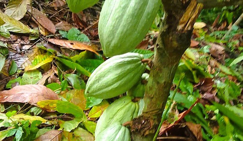 WhatsApp Image 2025-09-08 at 17.37.39 (2)