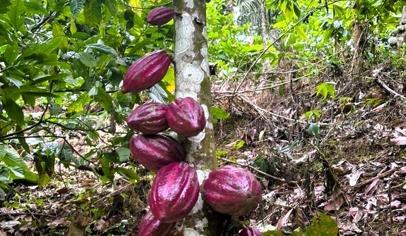 WhatsApp Image 2025-09-08 at 17.37.39 (8)